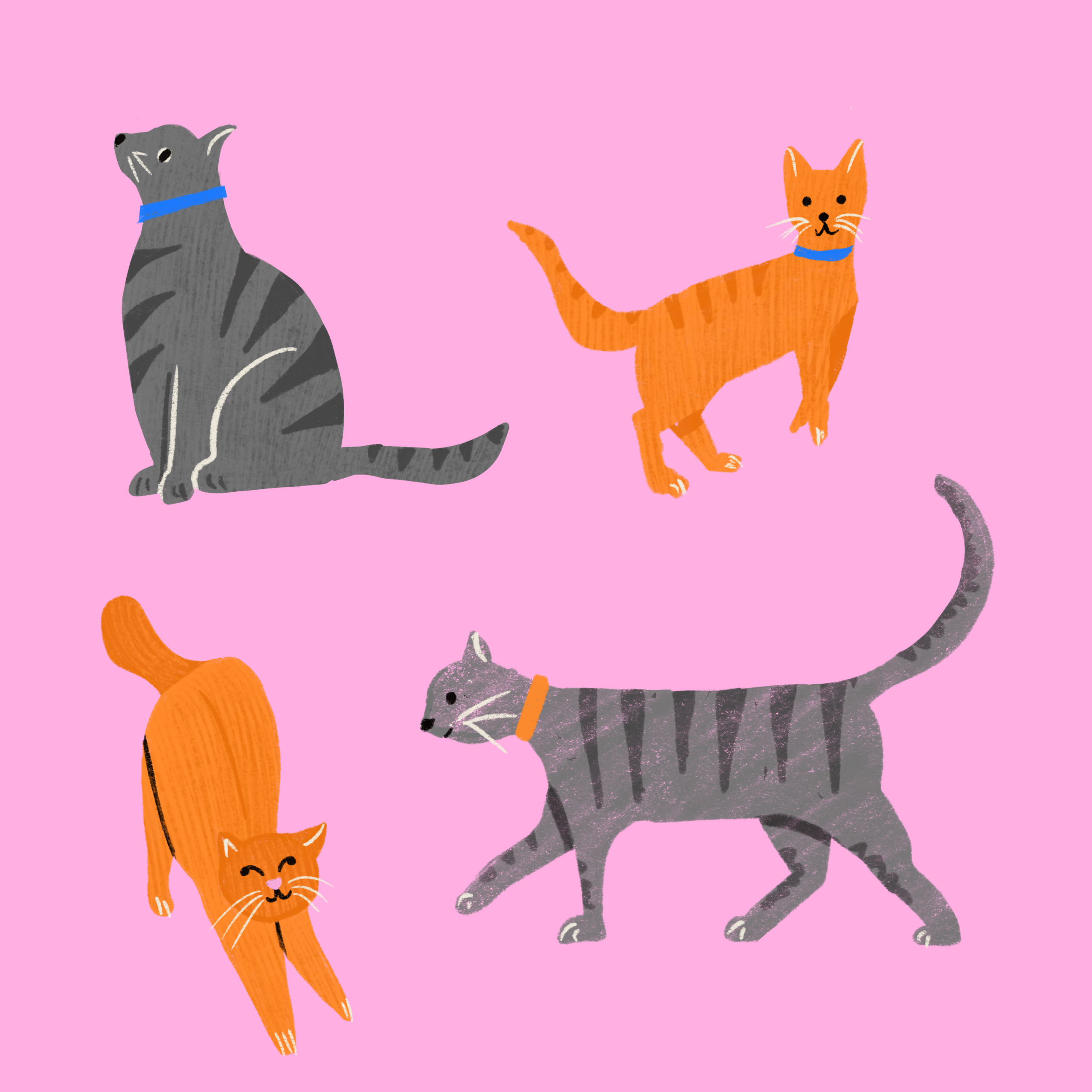 Cats_260903